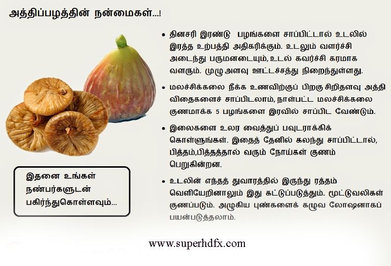 Benefits of fig in tamil Free Download studentsquestionpaper