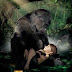 Tarzan - Regele Junglei (2013)