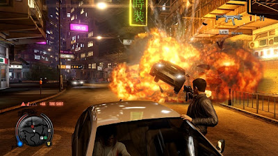 Sleeping Dogs Limited Edition