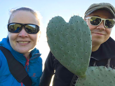 Ne Tammelat Kaliforniassa