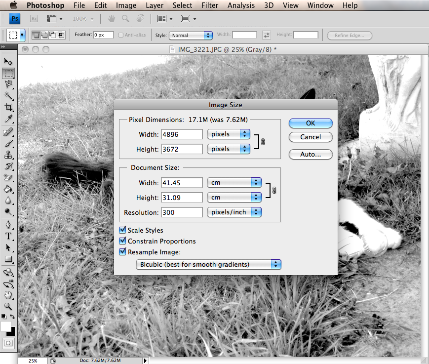 Screen Printing Bitmapping