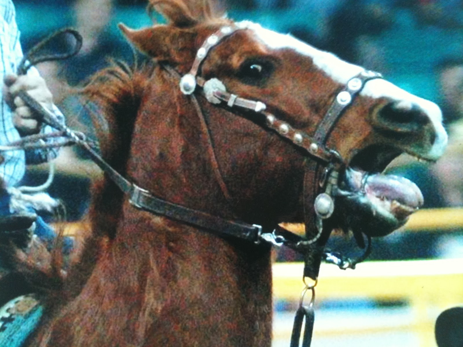 KnP Training Bits and Bitting Part 1 One of these pictures is not like the others