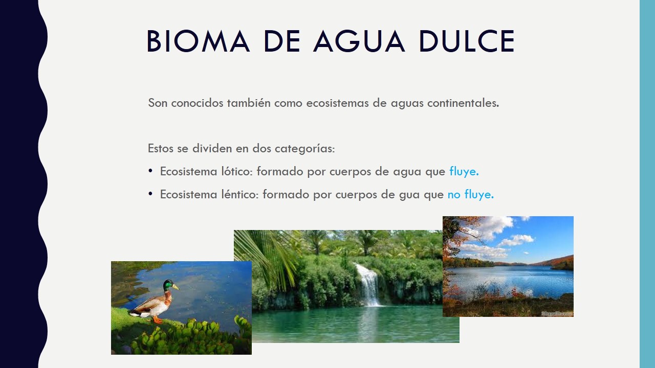 BIOMA de Agua Dulce