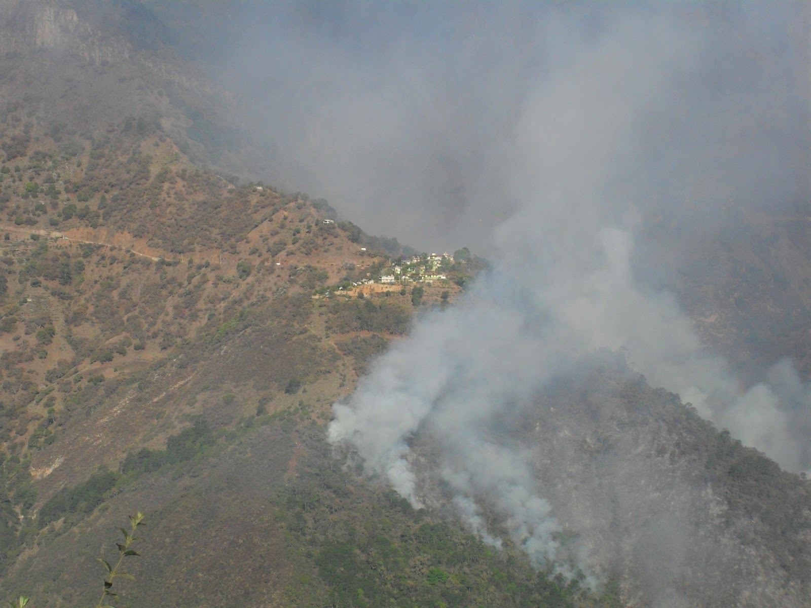 NICOLAS FLORES INCENDIO EN TEXCADHO