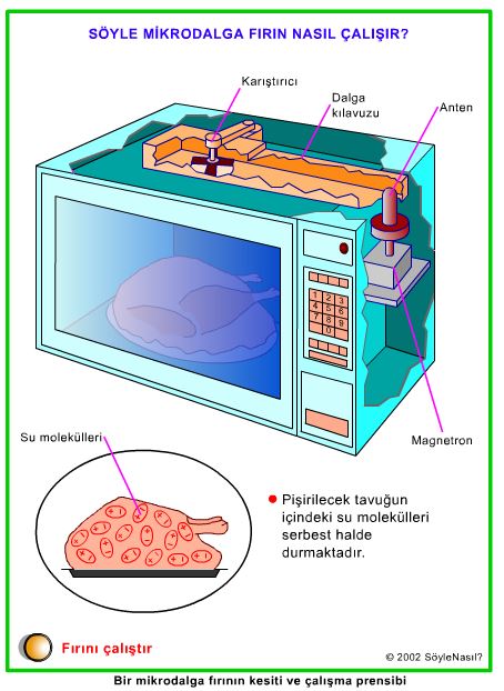 patikadan git mikrodalga nasil bir seydir patikadan git mikrodalga nasil bir seydir