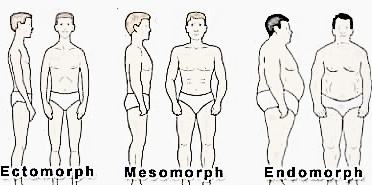 ecto mesomorph female ecto mesomorph female