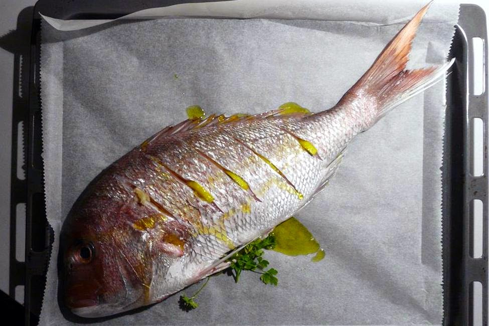 Kulinarische Welten zu Fisch- und Meeresfrucht: Dorade mit ...