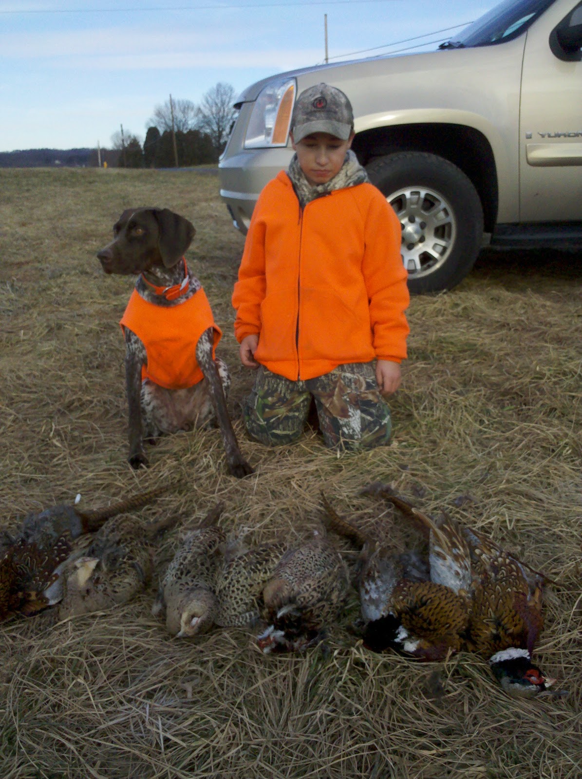 Adventures of a GSP Hunting Dog The future of Upland Hunting