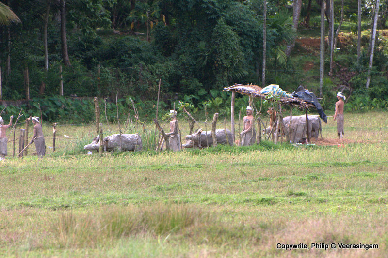 Images of Sri Lanka on blogspot.com: Clay figures of a threshing site