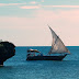 Dhow sailing in Tanzania