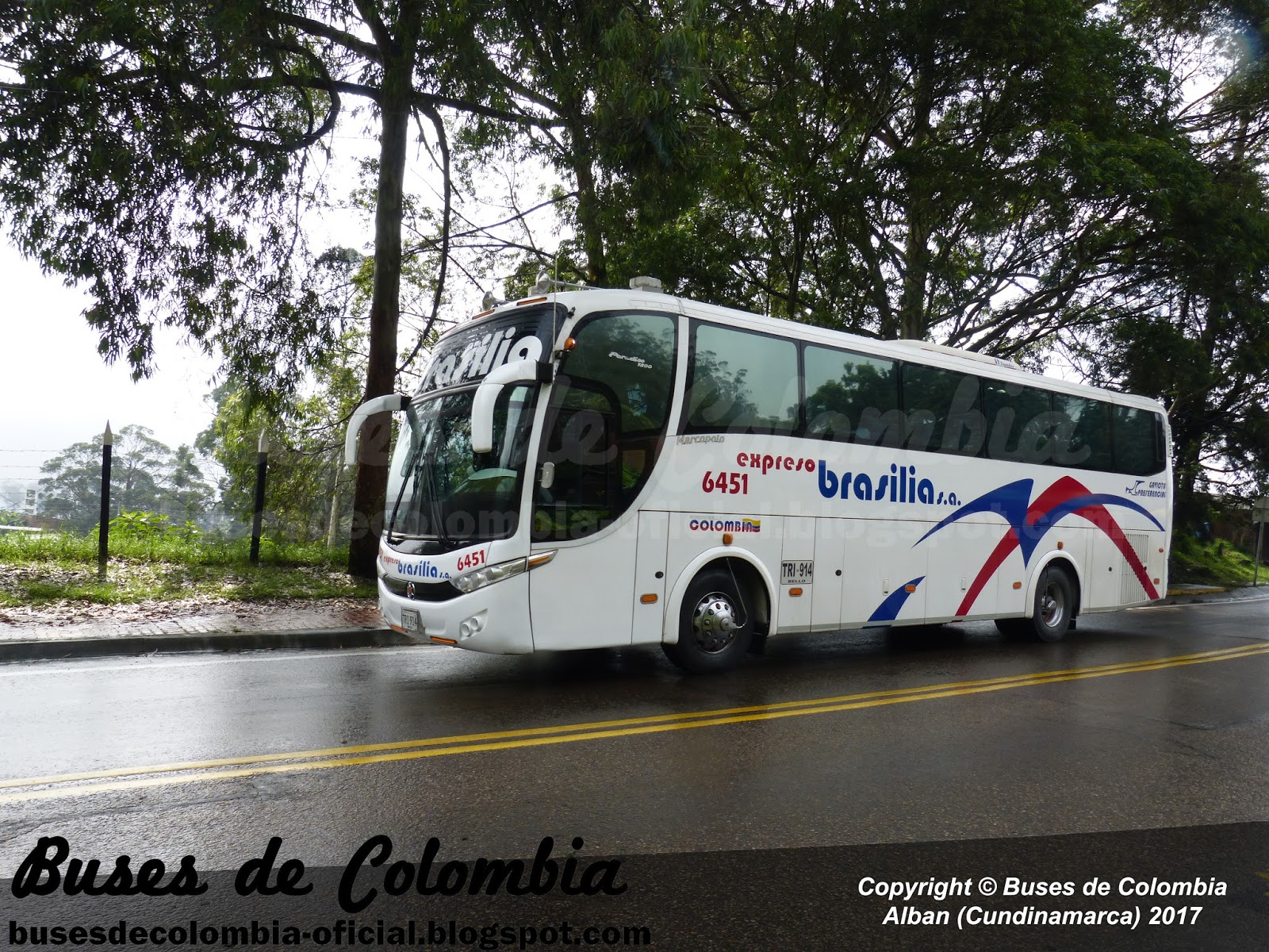 Expreso Brasilia 6451