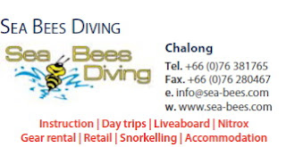 sea bees diving