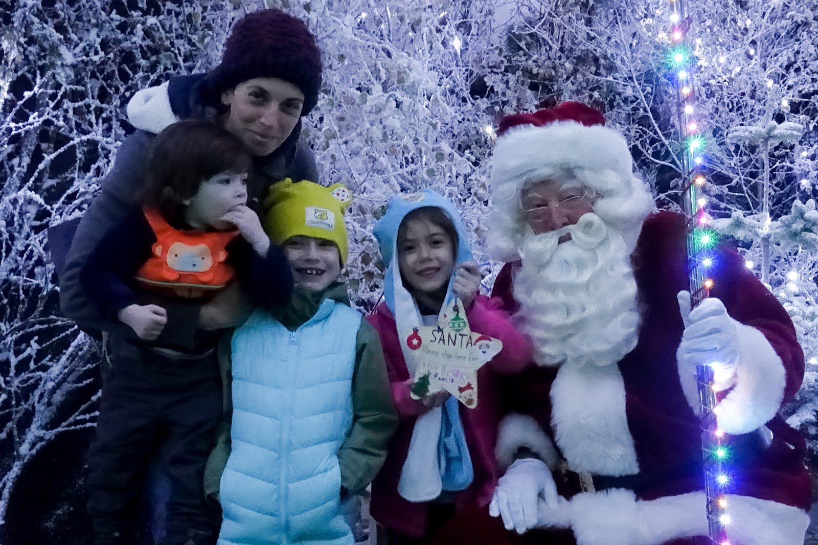 Lotherton Hall Christmas Experience This day I love.......