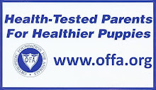Our dogs are Health-Tested