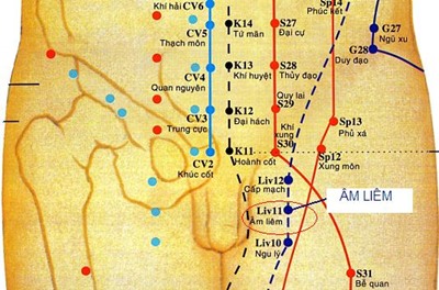 Vị trí huyệt âm liêm