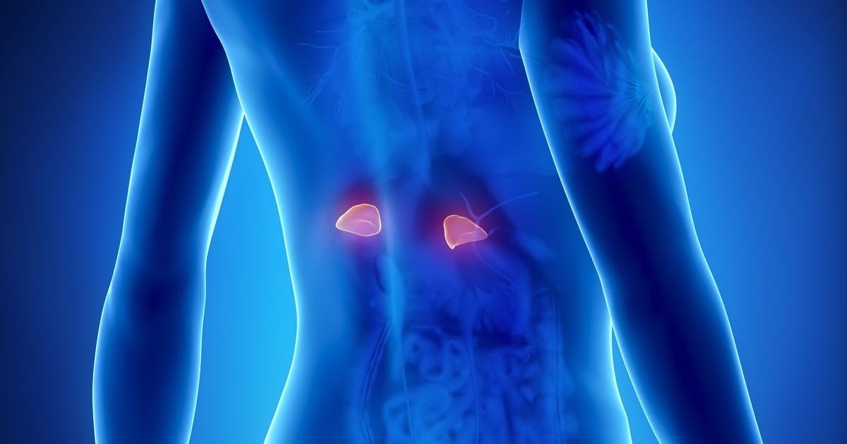 sekundär binjurebarksvikt symptom sekundär binjurebarksvikt symptom