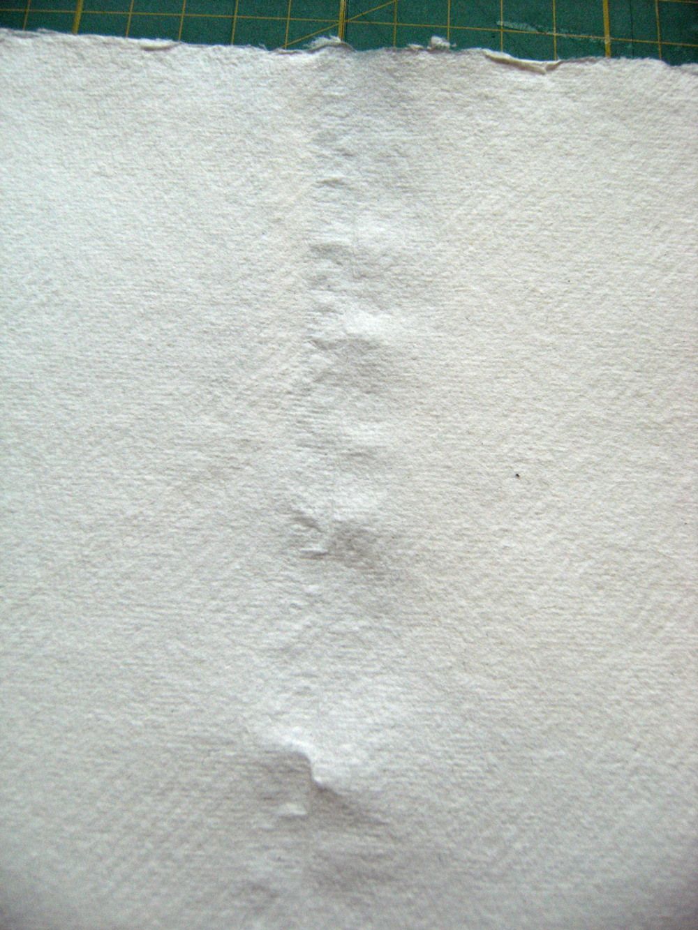 Lizzie Made The Binding makes the Book! Part Three Tearing