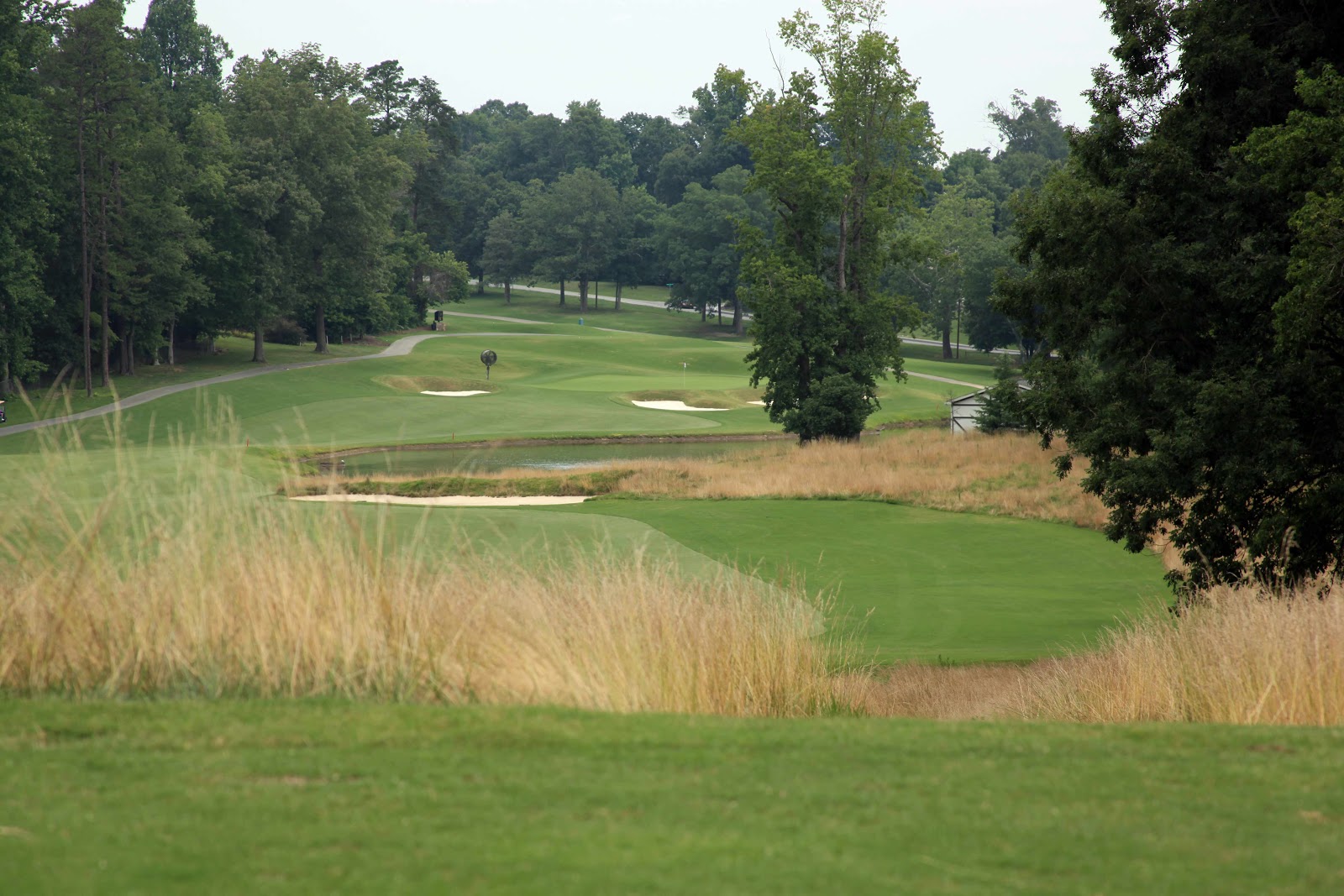 American Golfer McConnell Golf Merges Greensboro's Sedgefield CC and