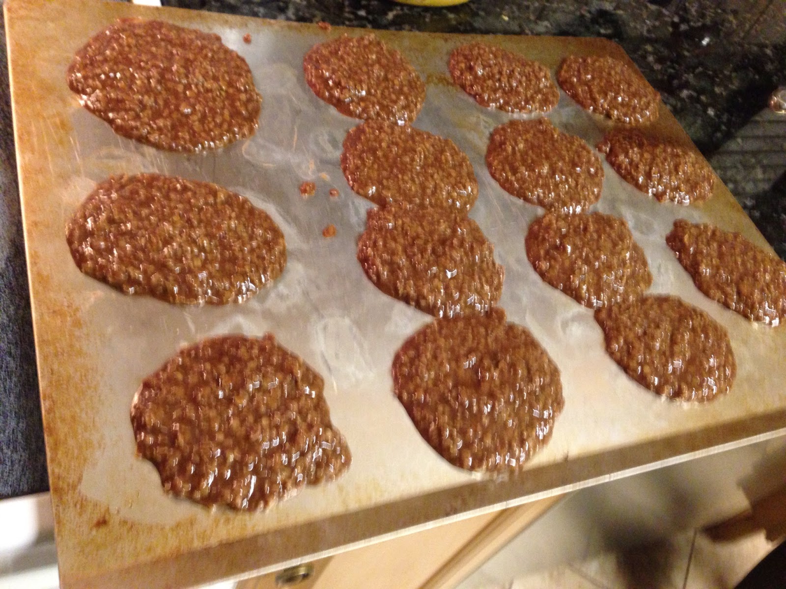 dinosaur-poop-cookies-helene-in-between