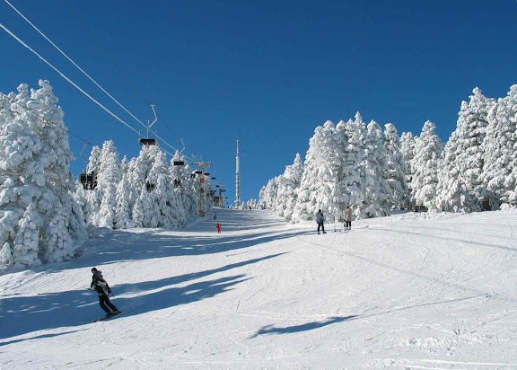 Günlük Daire Kiralama