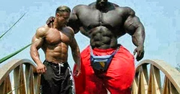 El Hombre Mas Musculoso Del Mundo Imagenes Chistosas y Graciosas: El Hombre más Musculoso del Mundo