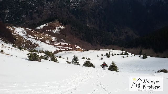 Chleb (1646 m n.p.m.) - wyjątkowy szczyt Małej Fatry na Słowacji