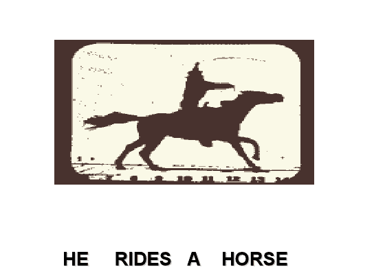 6. Sinif İngilizce Simple Present Tense Cümleleri (Resimli) - ingilizce