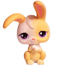 Littlest Pet Shop Seasonal Rabbit (#239) Pet