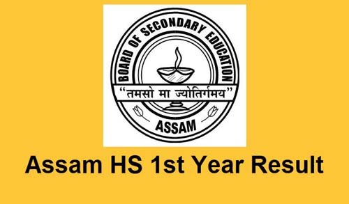 Assam HS 1st year result 2024