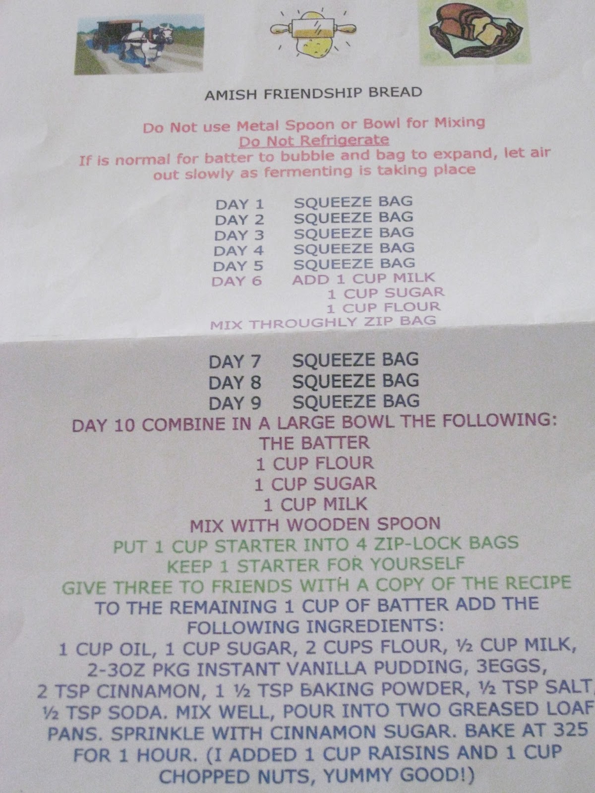 Bonz Blogz: Amish Friendship Bread