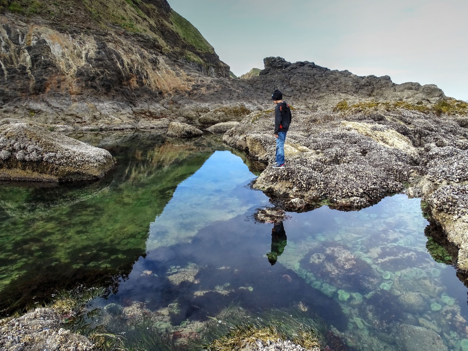 The Way I See It Lost Boy Beach Into Cave This Is The Largest Tide Pool We Found During Our Lost Boy Adventure It S Located On Rocks Between Short Beach And Cave