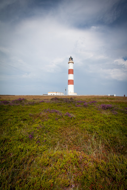 Portmahomack lighthouse (faro)