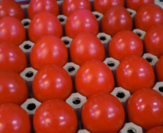 Der Geschmack von Kreta: Griechische Ostereier sind auch heute noch ...