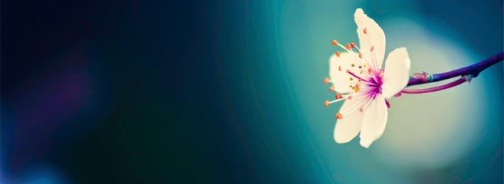 facebook background cover