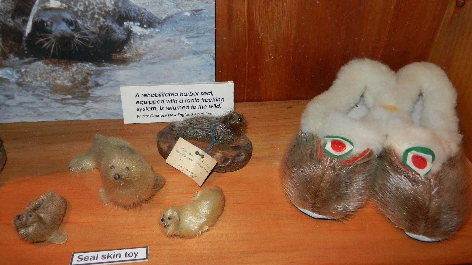 Kuweight 64 MY PHOTOS FOR THE DAY LOVELY SEAL SKIN PRODUCTS