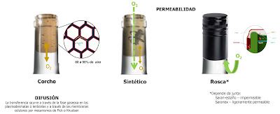 el%2Btapon%2Bde%2Bcorcho%2Bno%2Brespira%2B%2BPaulo%2BLopes%2B%25282%2529