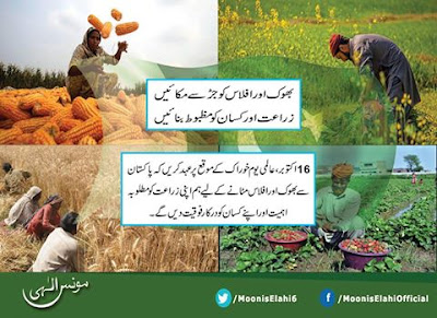 Moonis Elahi and Agriculture problems in Pakistan