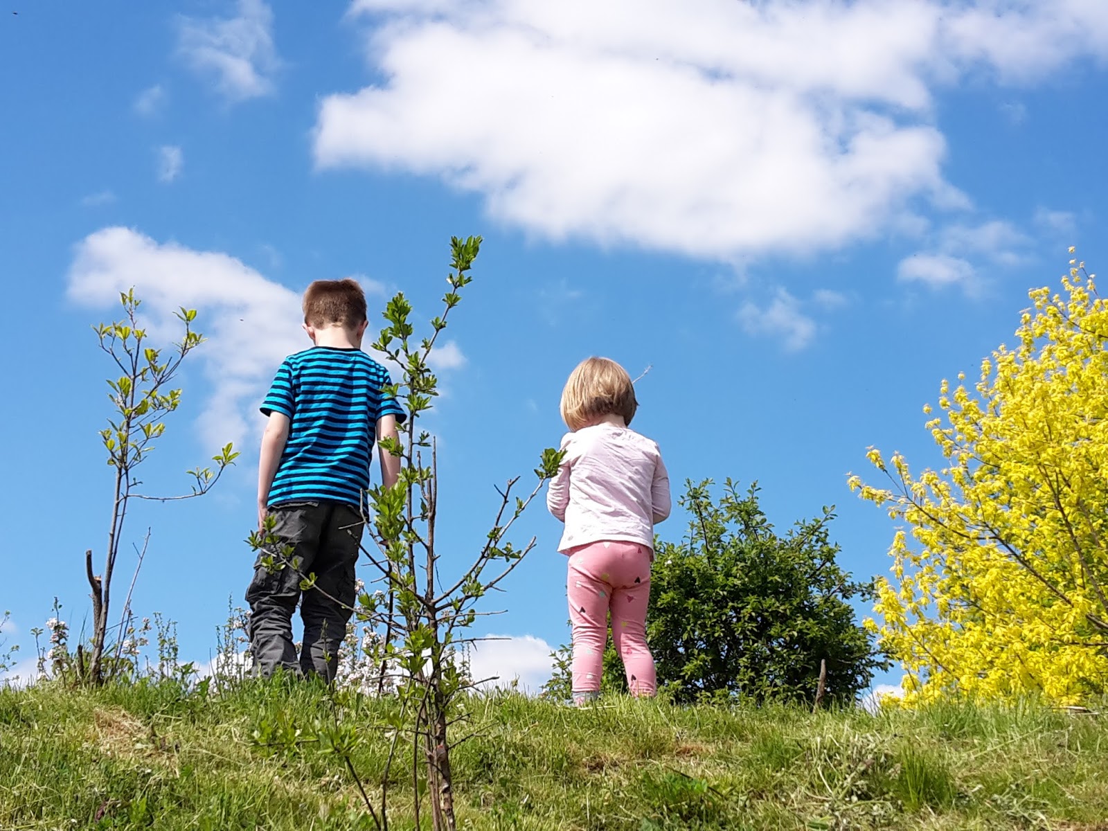 Mini Ofen Berliner Mit Sauerkirsch Und Himbeermarmelade Gefullt