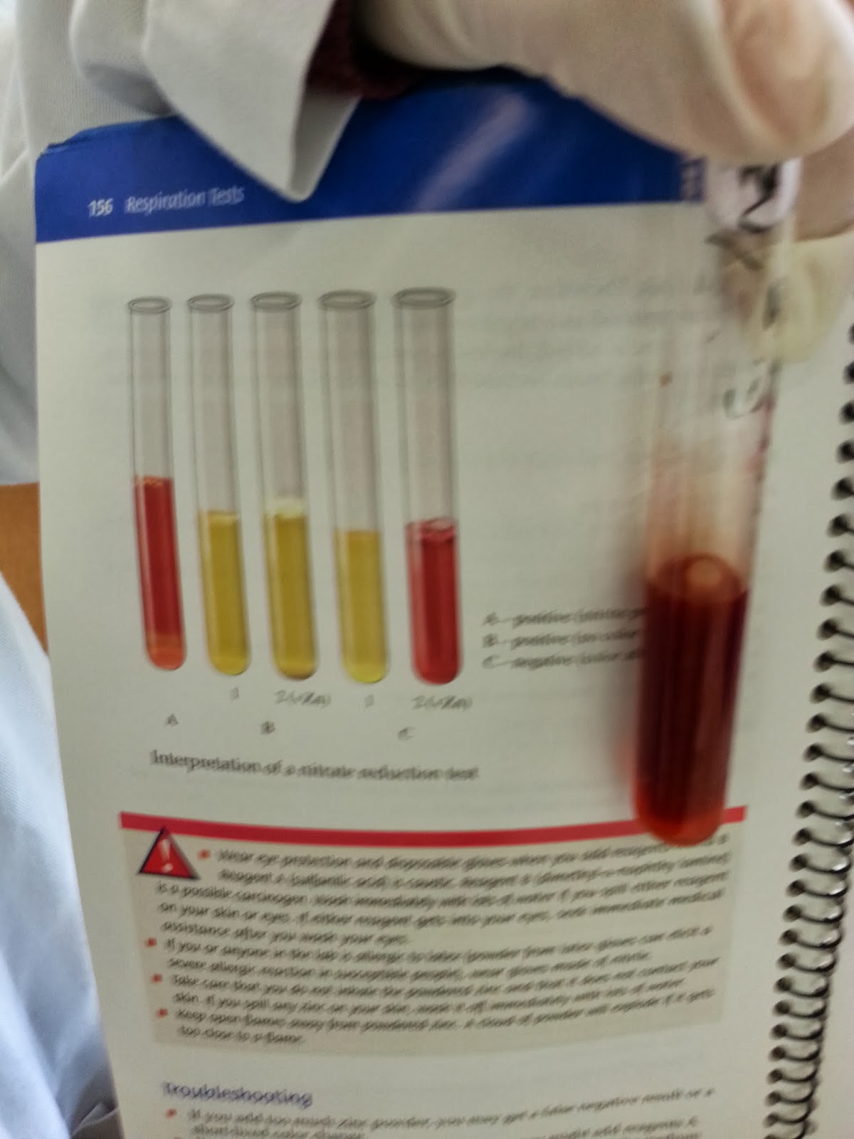 Medical Microbiology October 2013