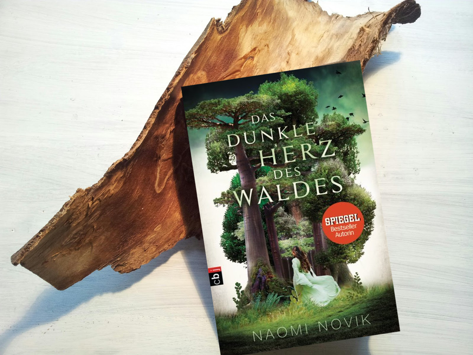 Fantasie und Träumerei Das dunkle Herz des Waldes Naomi Novik