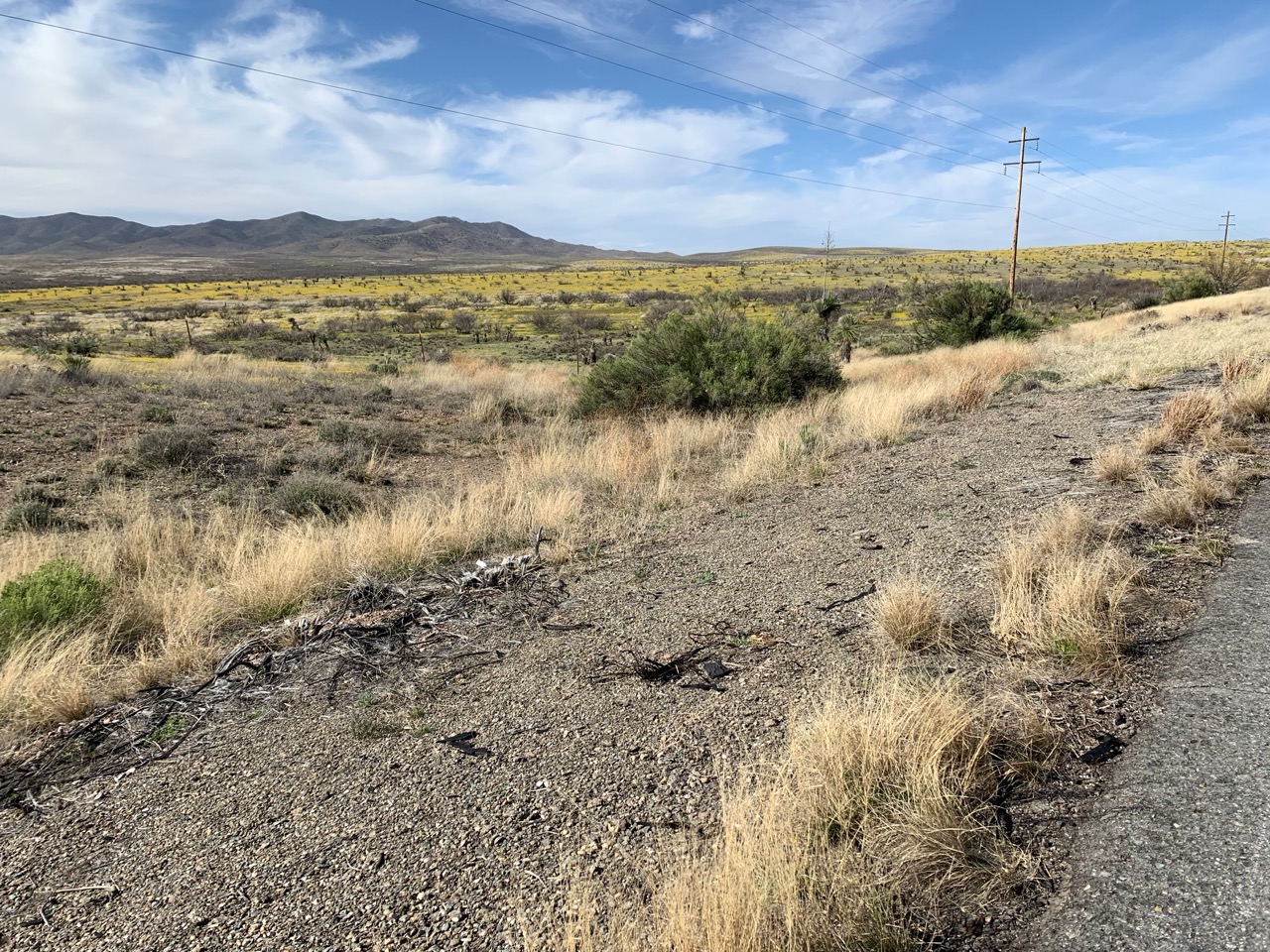 Day 22 Wilcox AZ to Lordsburg NM