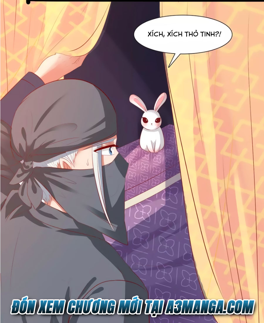 Thỏ Yêu Tiểu Vương Phi Chapter 40 - TC Truyện