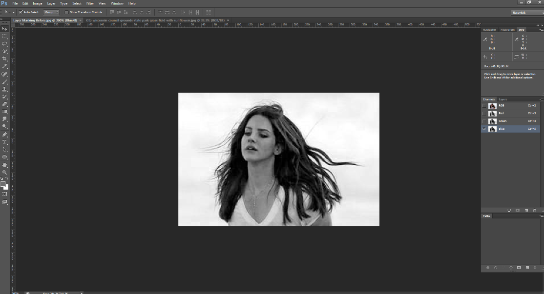 How To do Alpha Channel Masking In to Remove Background with