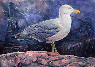 "Monhegan Seagull" - 14" x 20" - Watercolor By Paul Sherman "Monhegan Seagull" - 14" x 20" - Watercolor By Paul Sherman