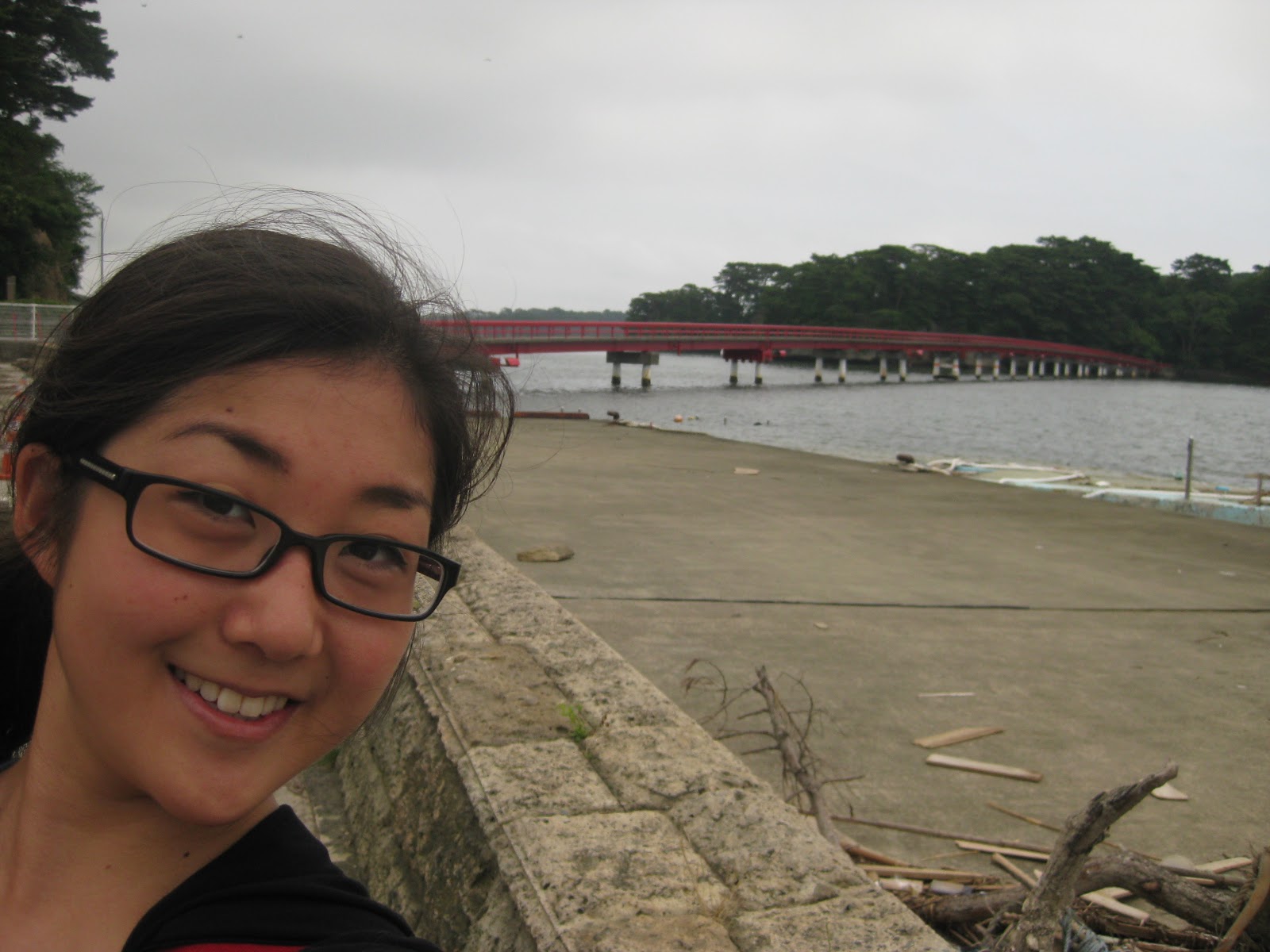 The Paper Crane Project Volunteer Week 3 continued...