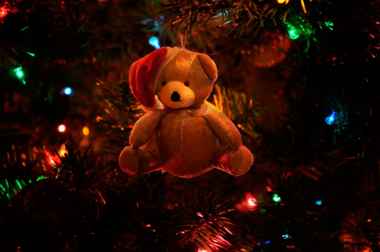 chirstmas: free christmas pictures