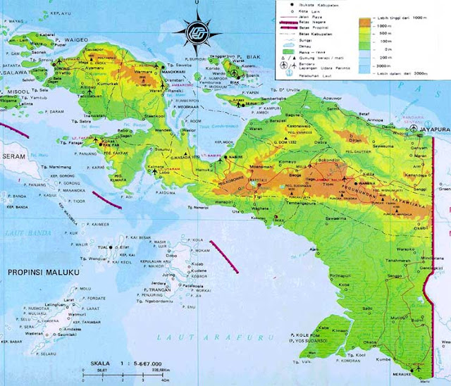 Kamus Dialek Papua + Istilah Sehari-hari - West Papua