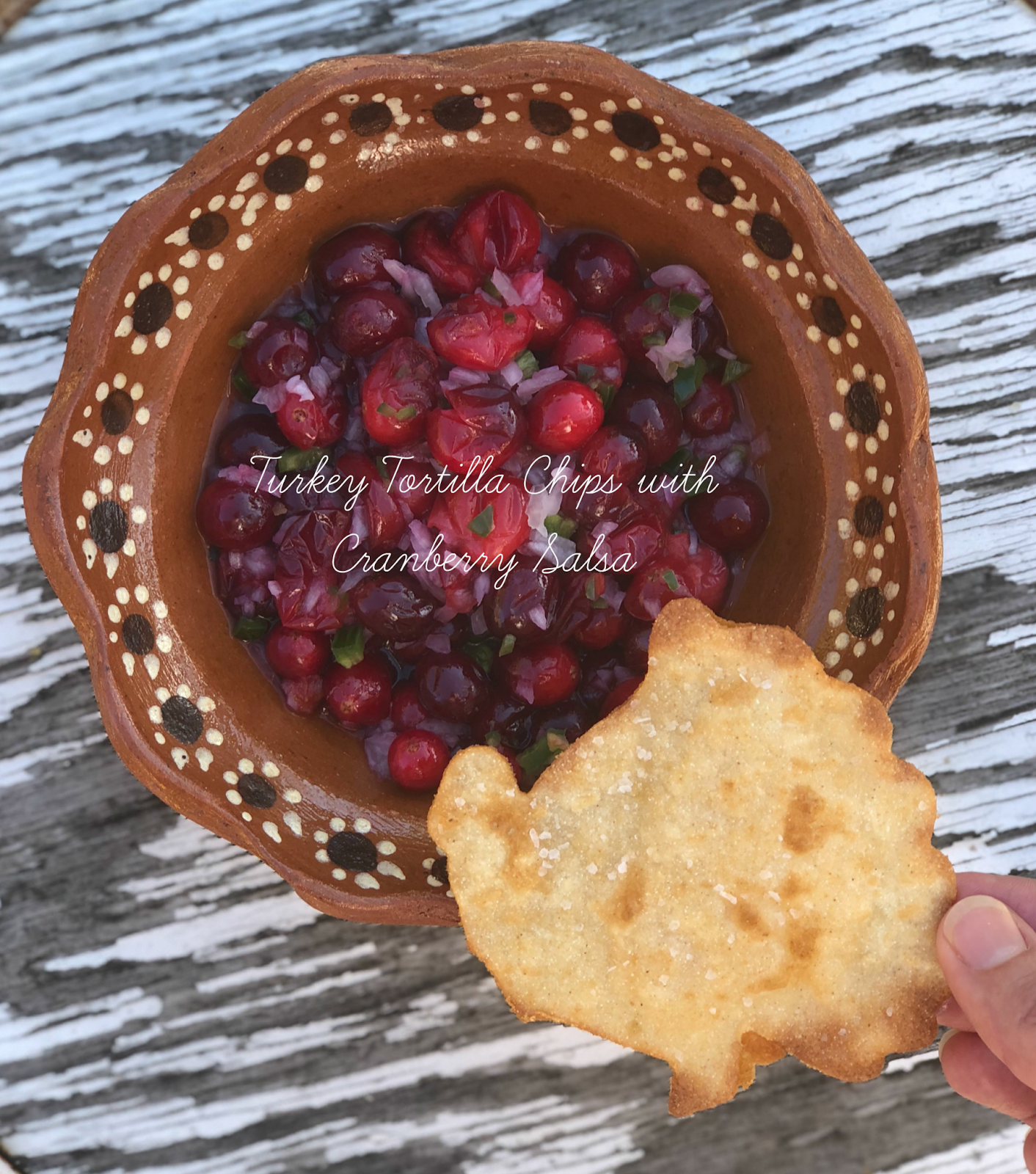 Jac o' lyn Murphy Turkey Tortilla Chips with Cranberry Salsa