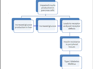 pathophysiology of diabetes mellitus type 2 schematic diagram