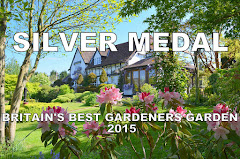 SILVER MEDAL -  Britain's Best Gardeners' Garden